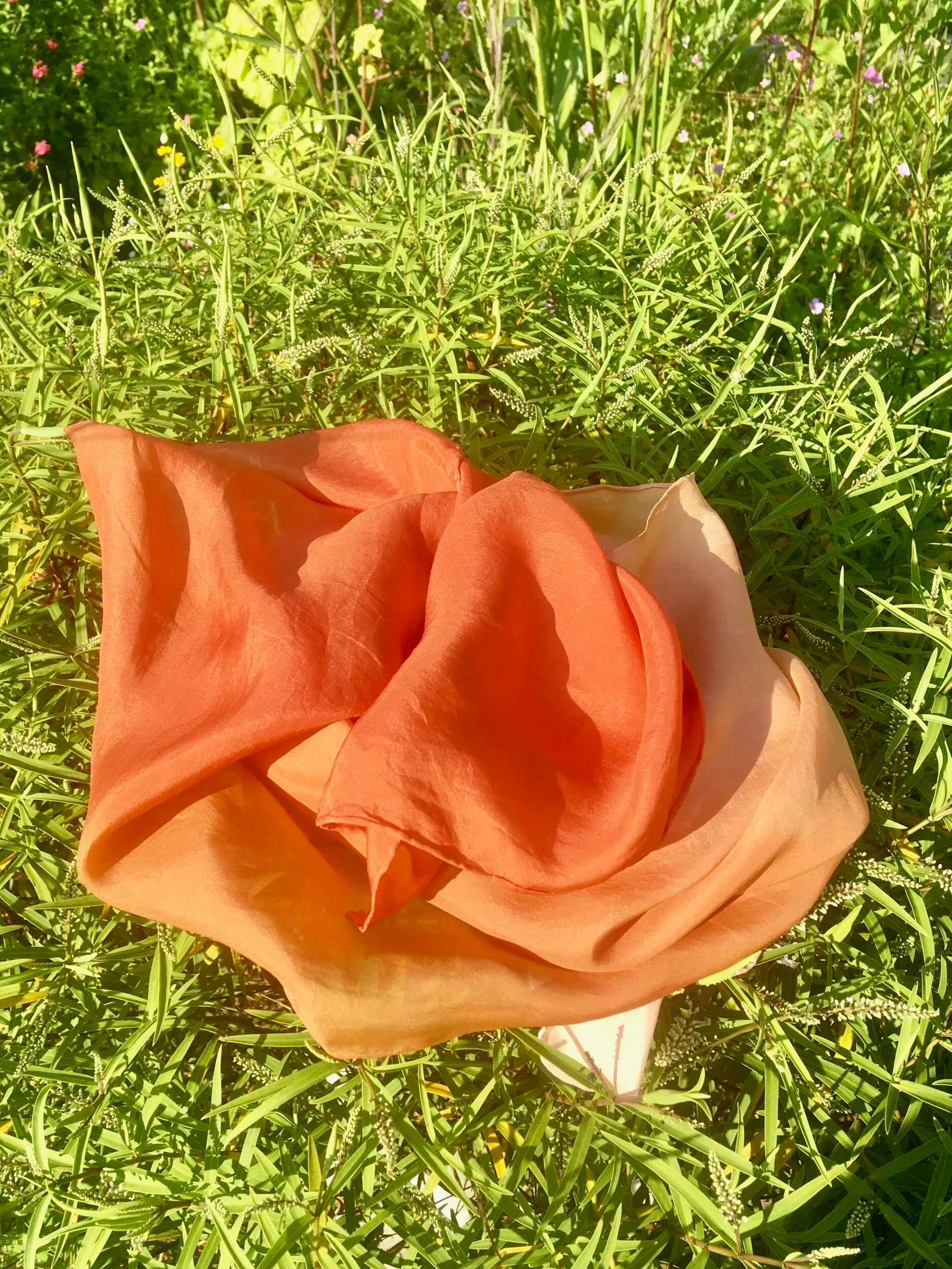 Initiez-vous à la teinture végétale avec Marie - Image n°5 - Wecandoo