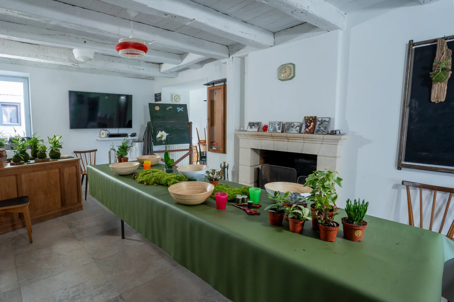 Sensibilisez votre équipe et réalisez votre kokedama à partir de plantes dépolluantes - Image n°2 - Wecandoo