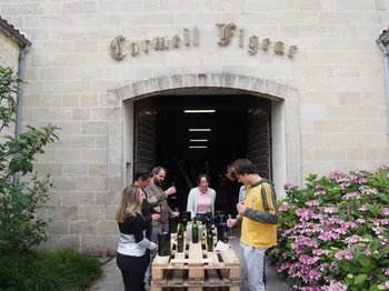 Assemblez votre Saint-Emilion Grand-Cru en équipe