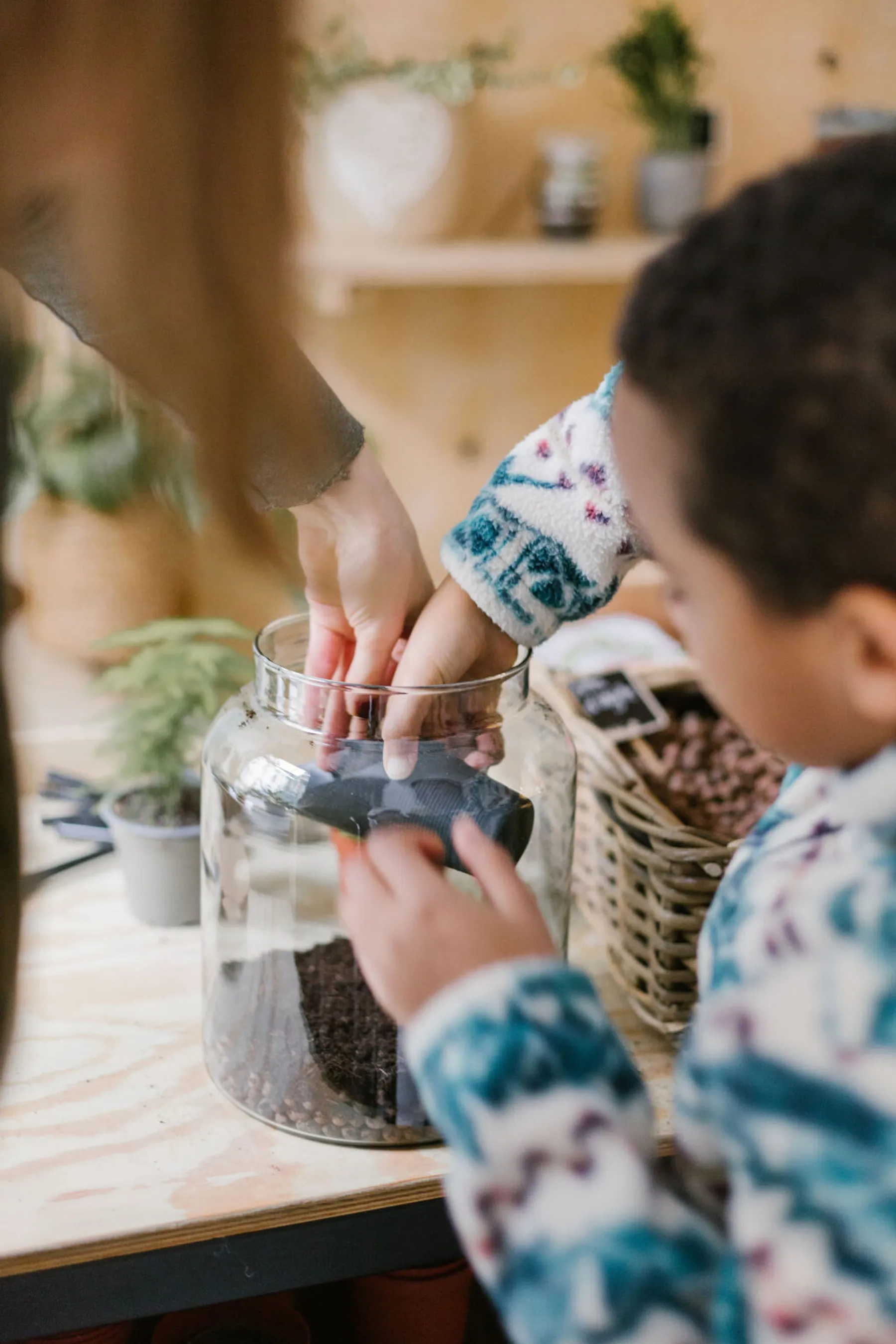 Créez votre terrarium en duo avec votre enfant accompagnés par Roxane - Image n°4 - Wecandoo
