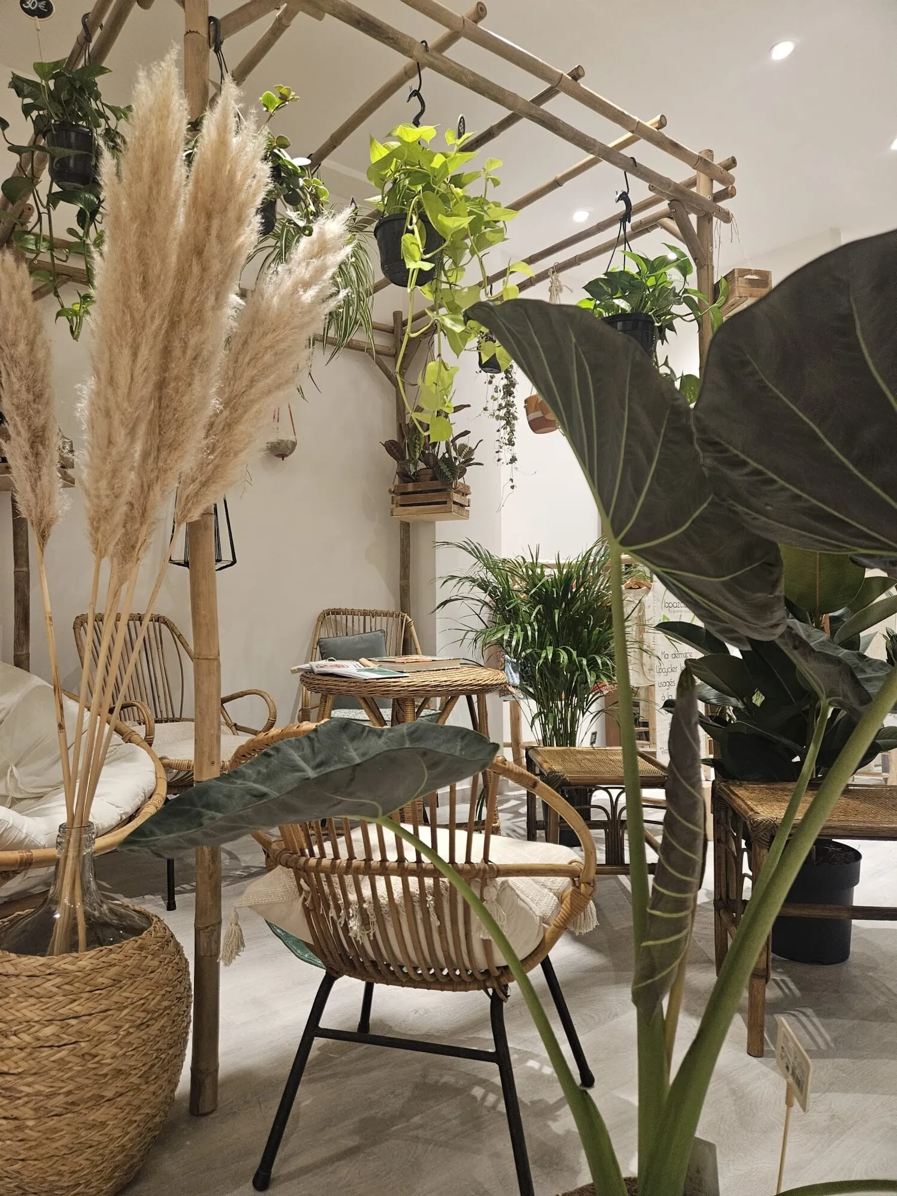 Créez votre terrarium en duo avec votre enfant accompagnés par Roxane - Image n°5 - Wecandoo