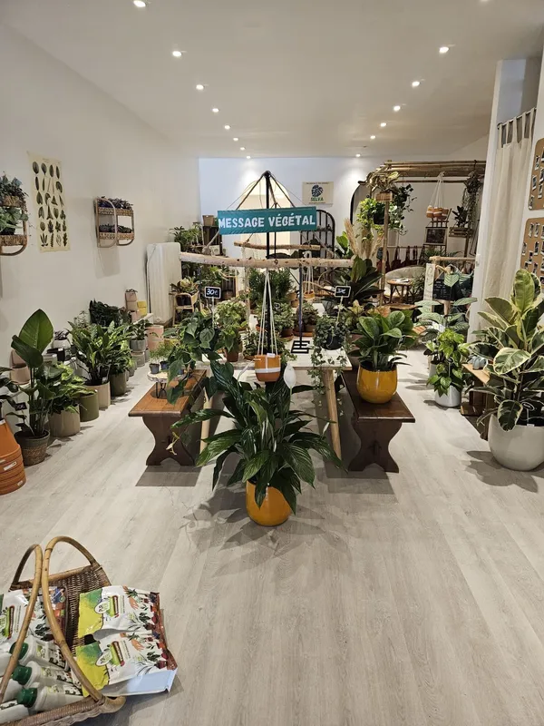 Créez votre terrarium en duo avec votre enfant accompagnés par Roxane - Image n°2 - Wecandoo