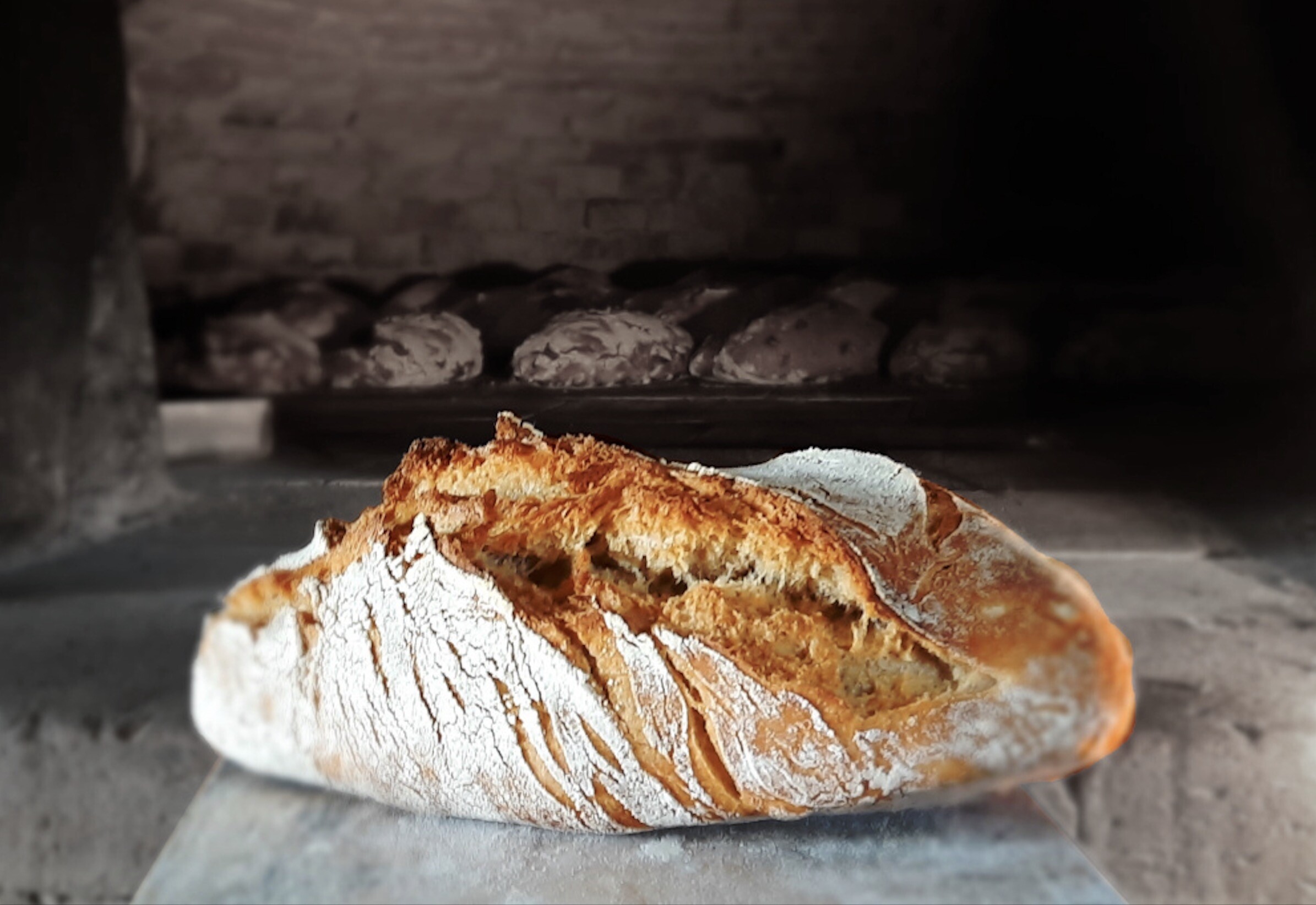 Fabriquez votre pain paysan au levain