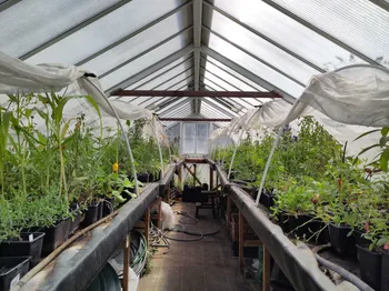 Réalisez votre jardinière de saison