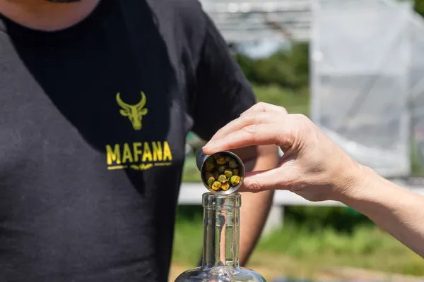 Rapprochez votre équipe et embouteillez votre rhum en équipe avec Anthony - Afbeelding nr. 1 - Wecandoo