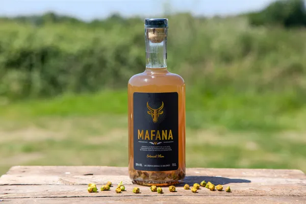 Surprenez votre équipe : cueillez vos fleurs de brèdes mafane et embouteillez votre rhum avec Anthony - Image n°4 - Wecandoo