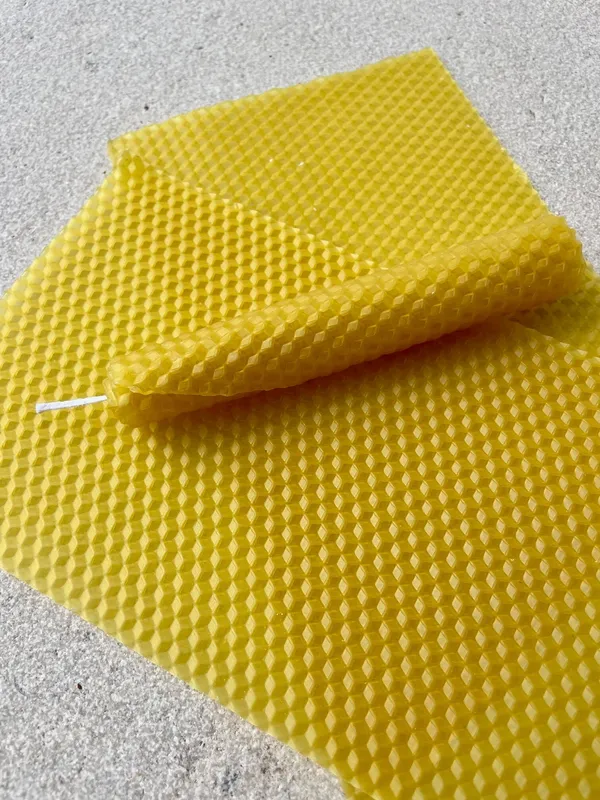 Venez découvrir l'apiculture, la pollinisation, le miel et la cire d'abeille avec Estelle - Image n°4 - Wecandoo