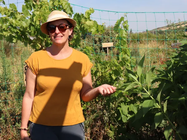 Venez découvrir l'apiculture, la pollinisation, le miel et la cire d'abeille avec Estelle - Image n°3 - Wecandoo