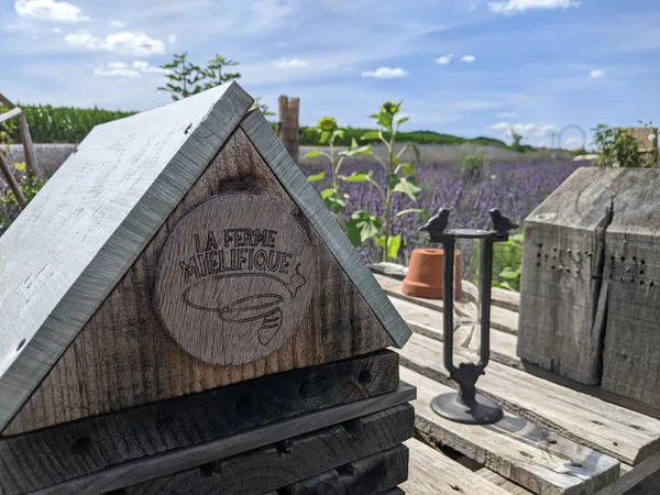 Venez découvrir l'apiculture, la pollinisation, le miel et la cire d'abeille avec Estelle - Image n°5 - Wecandoo