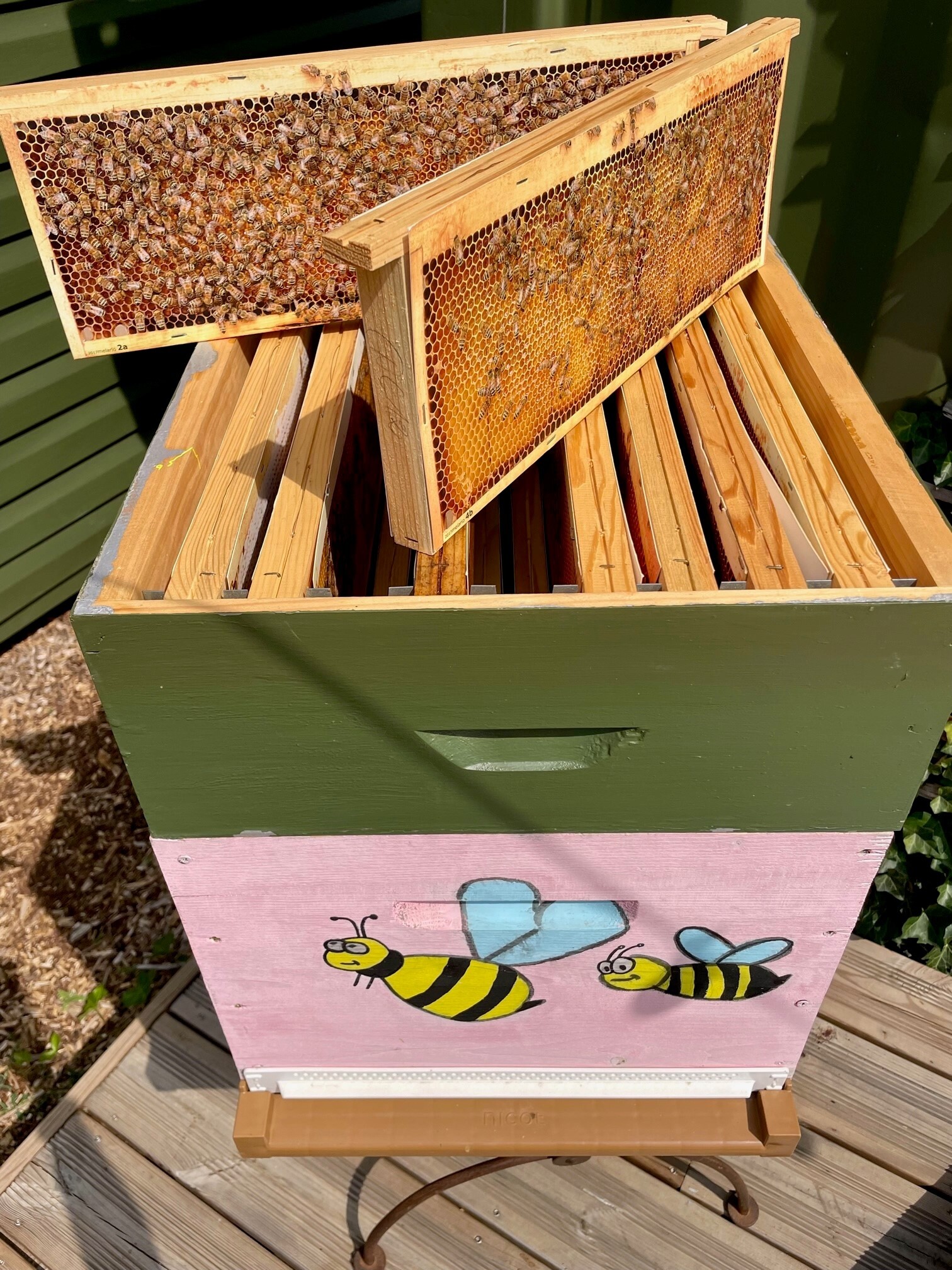 Visitez la Ferme Mielifique