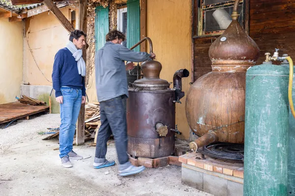 Réunissez votre équipe et Atelier créez votre Pastis avec Maixent - Image n°3 - Wecandoo