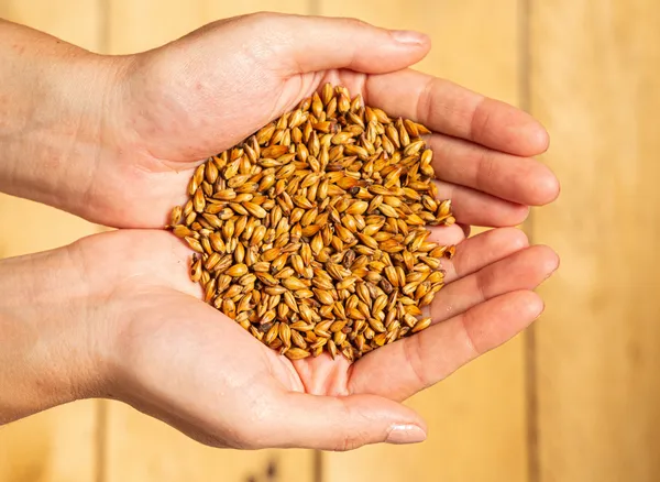 Participez au brassage d'une bière et repartez avec un carton de bières artisanales de votre choix - Image n°2 - Wecandoo