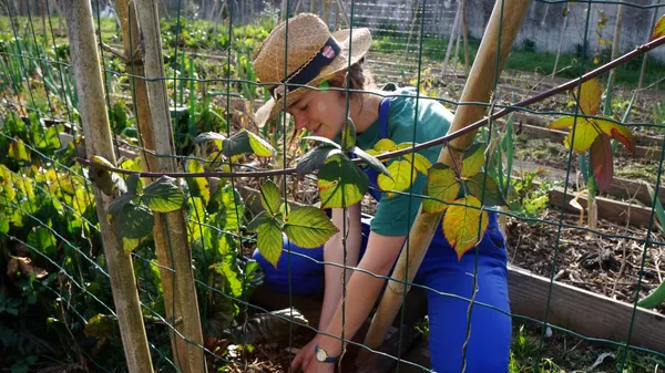 Initiez-vous à la permaculture avec Pierre-Emmanuel - Image n°3 - Wecandoo