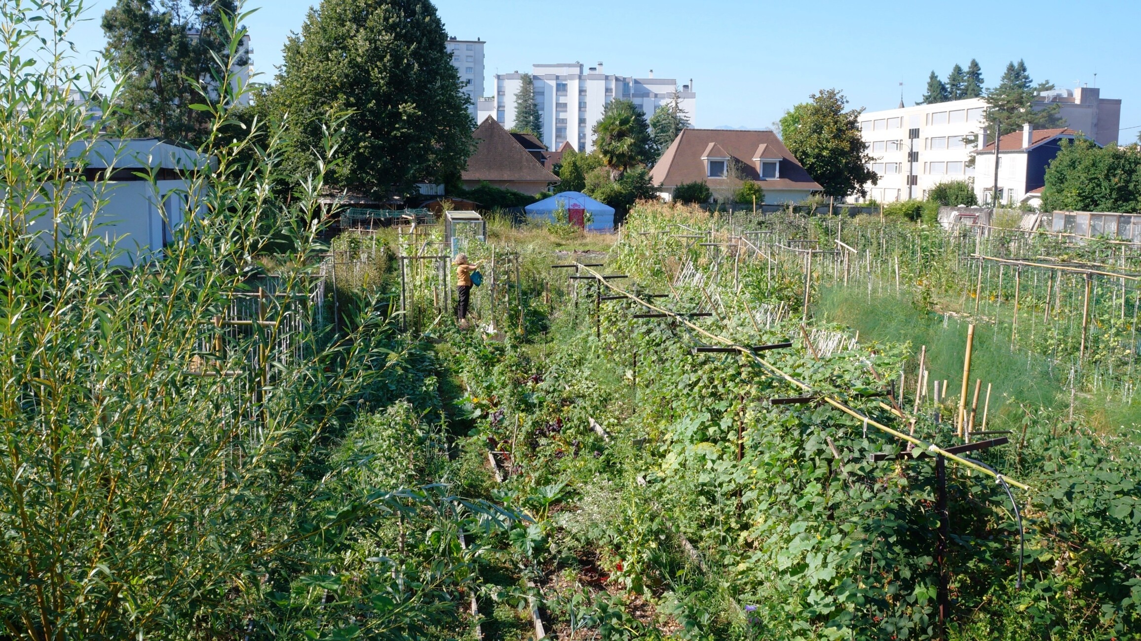 Wecandoo - Initiez-vous à la permaculture avec Pierre-Emmanuel - Image n°11