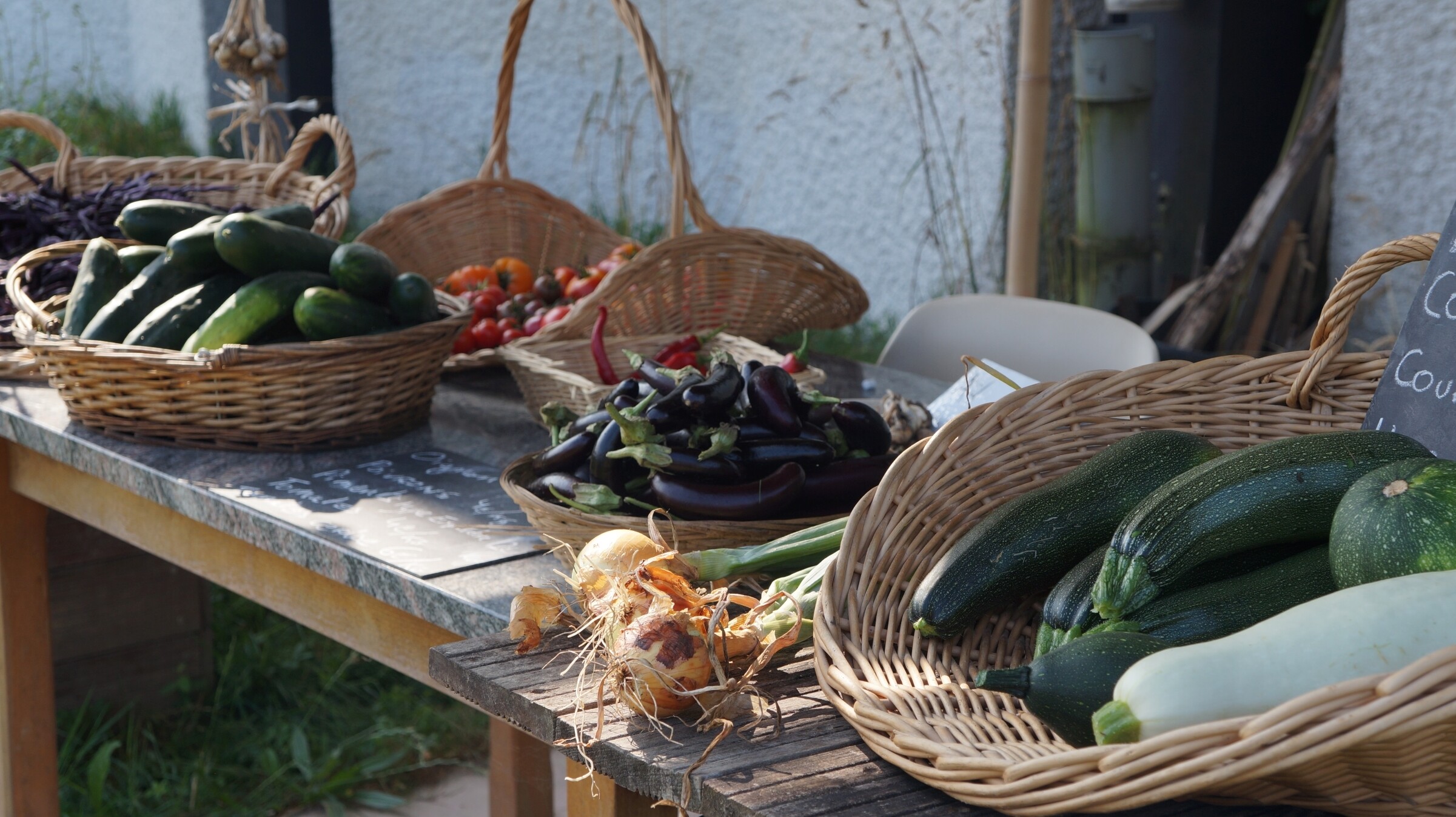 Wecandoo - Initiez-vous à la permaculture avec Pierre-Emmanuel - Image n°2