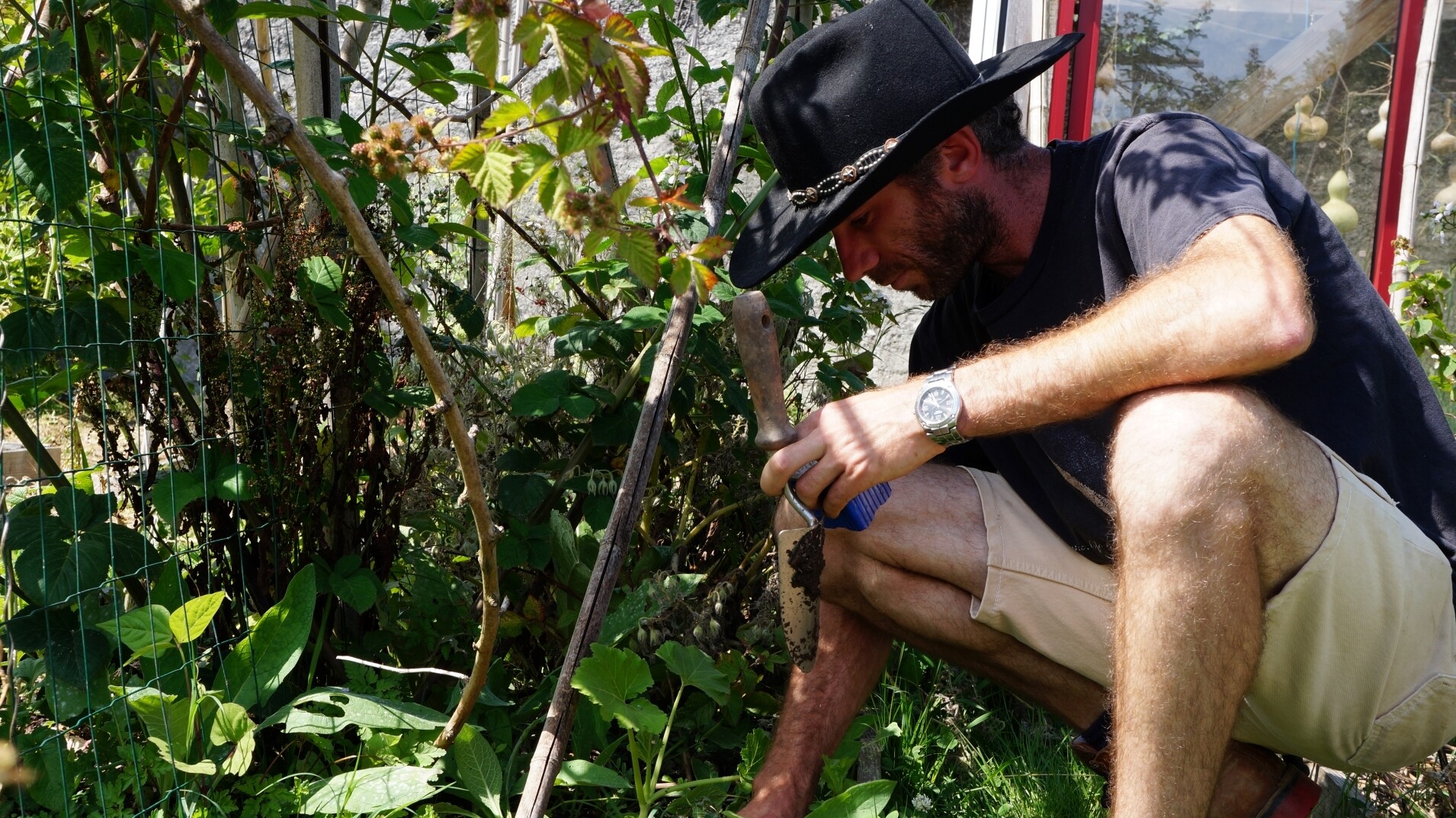 Initiez-vous à la permaculture