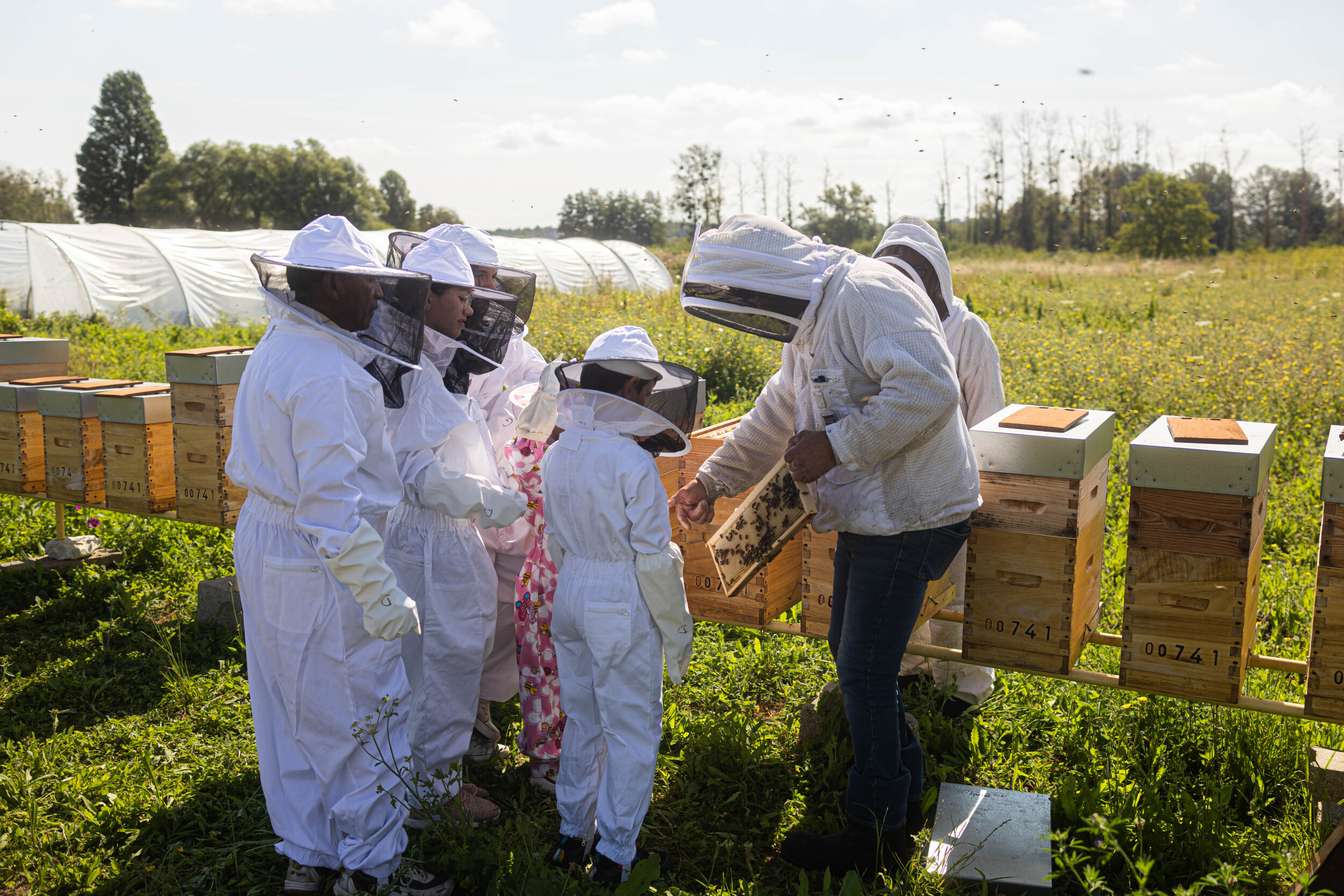 Wecandoo - Découvrez l'apiculture avec François - Image n°2