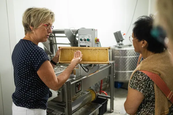 Visitez une miellerie et dégustez différents miels avec François - Image n°2 - Wecandoo