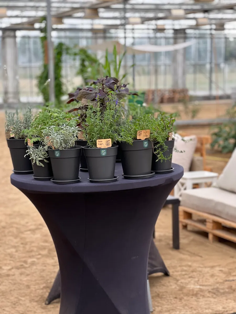 Créez vos infusions à Nanterre - Image n°1 - Wecandoo