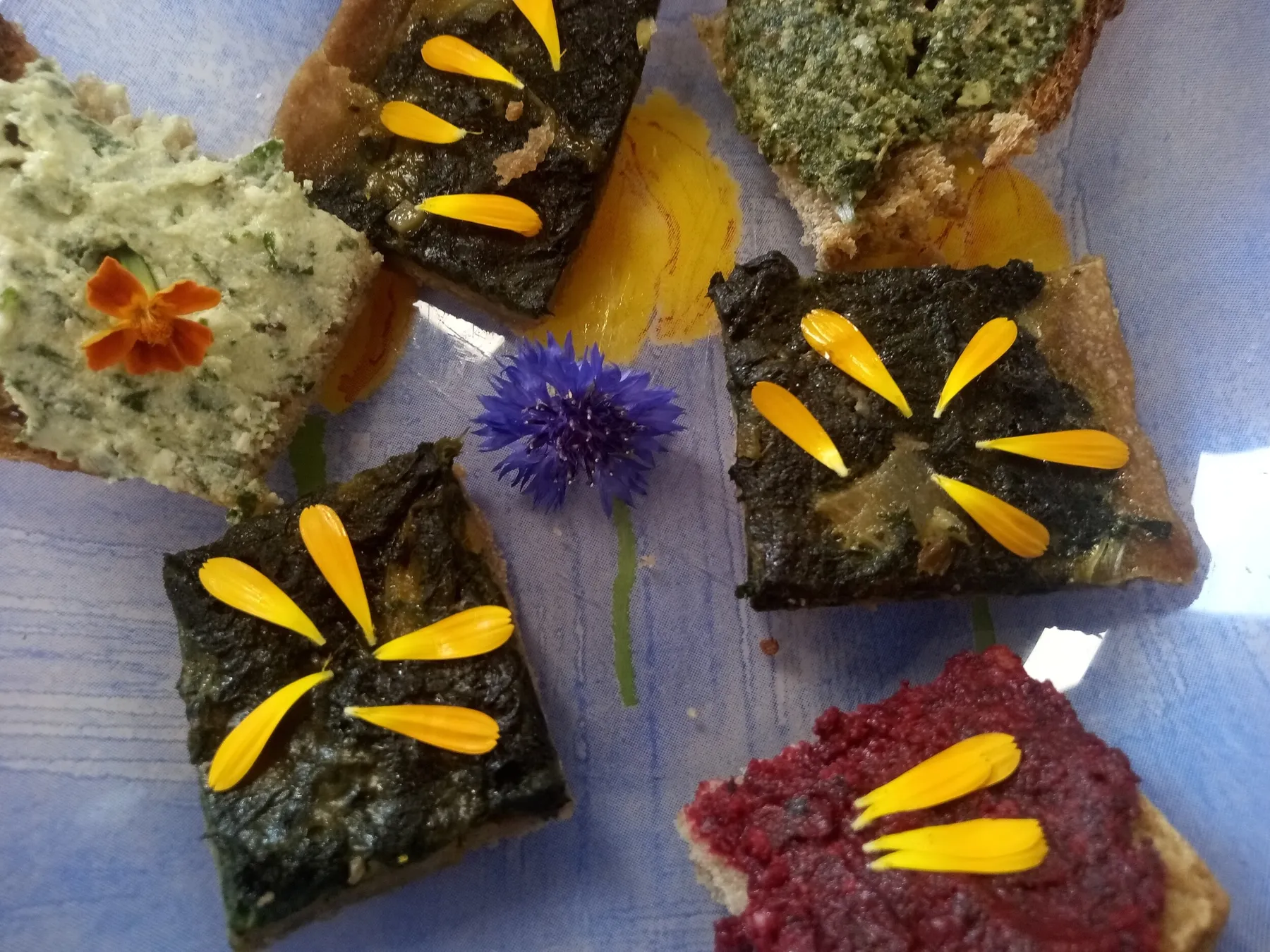 Réalisez un pesto et un houmous à base de plantes sauvages avec Frédérique - Image n°2 - Wecandoo