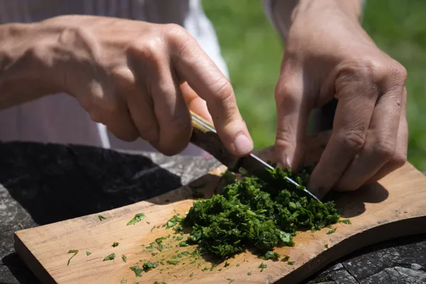 Réalisez un pesto et un houmous à base de plantes sauvages avec Frédérique - Image n°3 - Wecandoo