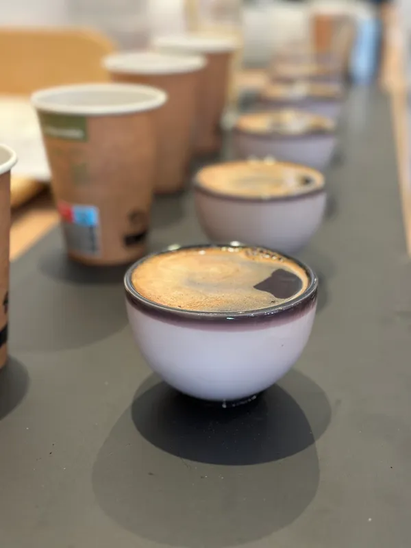 Découvrez la torréfaction de café artisanale avec Florian - Image n°3 - Wecandoo