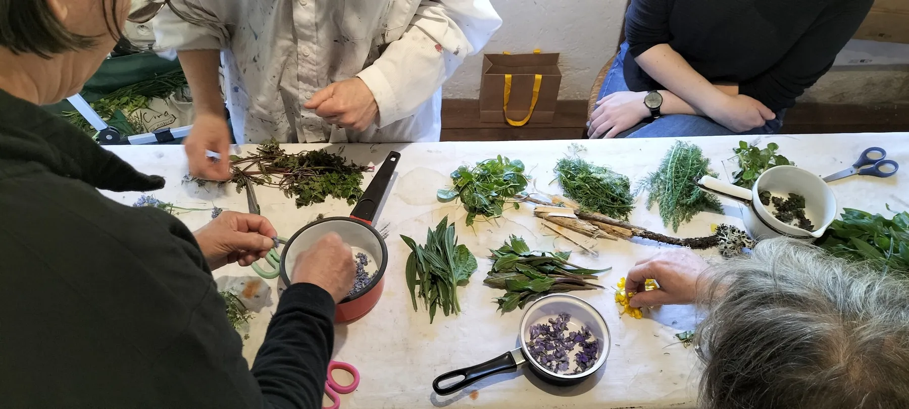 Fabriquez votre encre végétale avec Isabelle - Image n°1 - Wecandoo