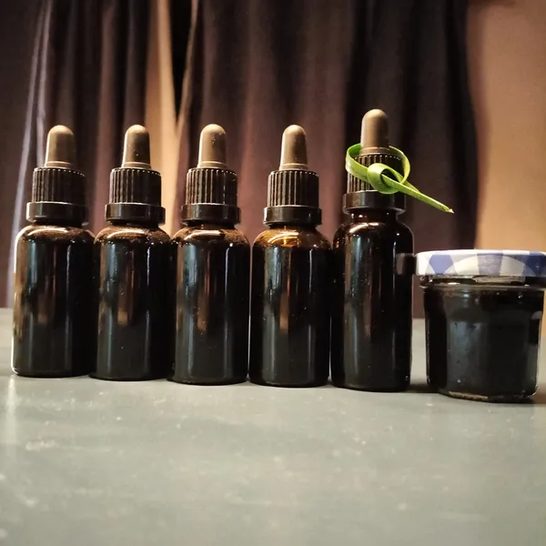 Fabriquez votre encre végétale avec Isabelle - Image n°4 - Wecandoo