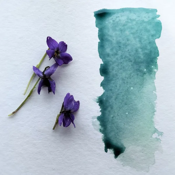 Fabriquez votre encre végétale avec Isabelle - Image n°2 - Wecandoo