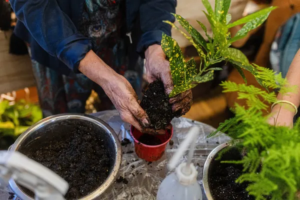 Réalisez votre kokedama en duo avec votre enfant accompagnés par Corinne - Image n°2 - Wecandoo