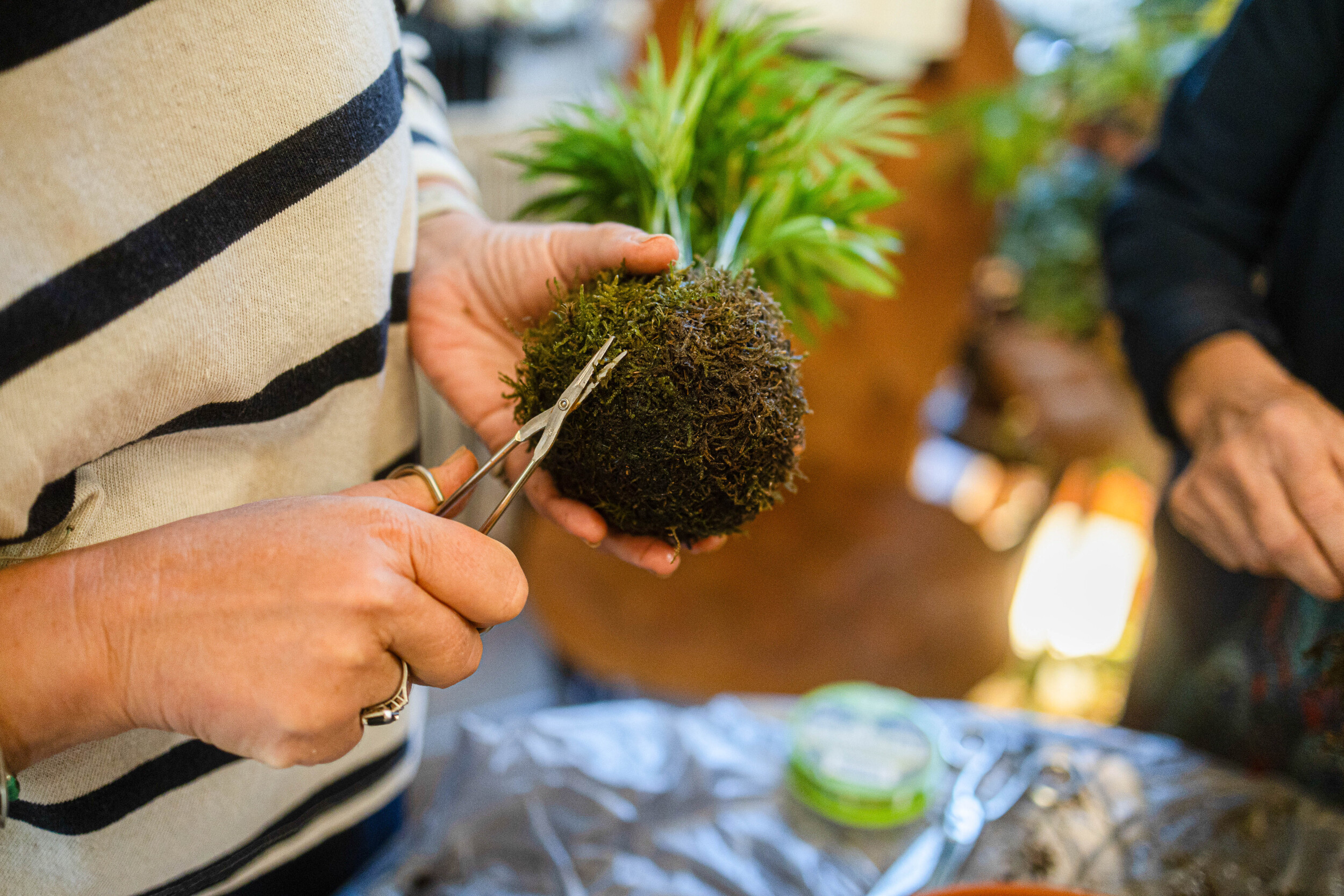 Wecandoo - Réalisez votre kokedama en duo avec votre enfant accompagnés par Corinne - Image n°2