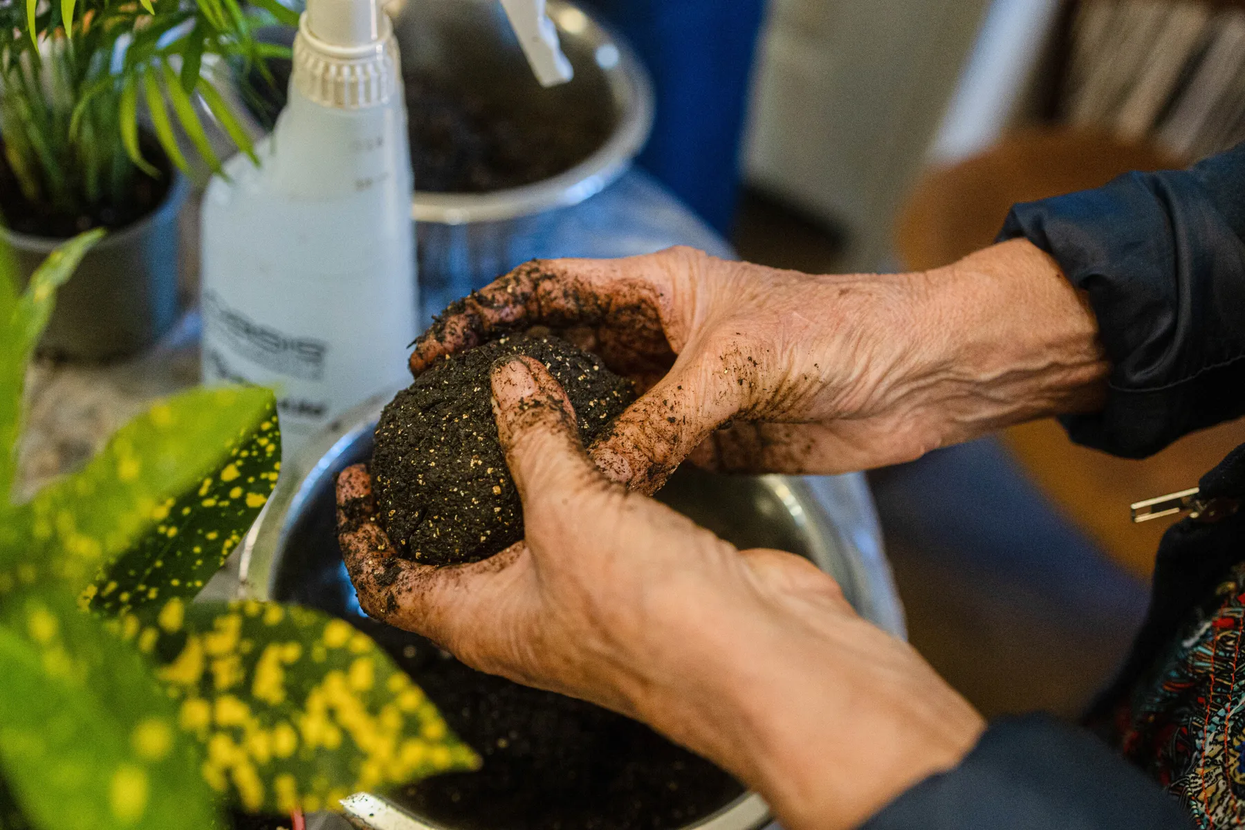 Créez votre kokedama avec Corinne - Image n°2 - Wecandoo