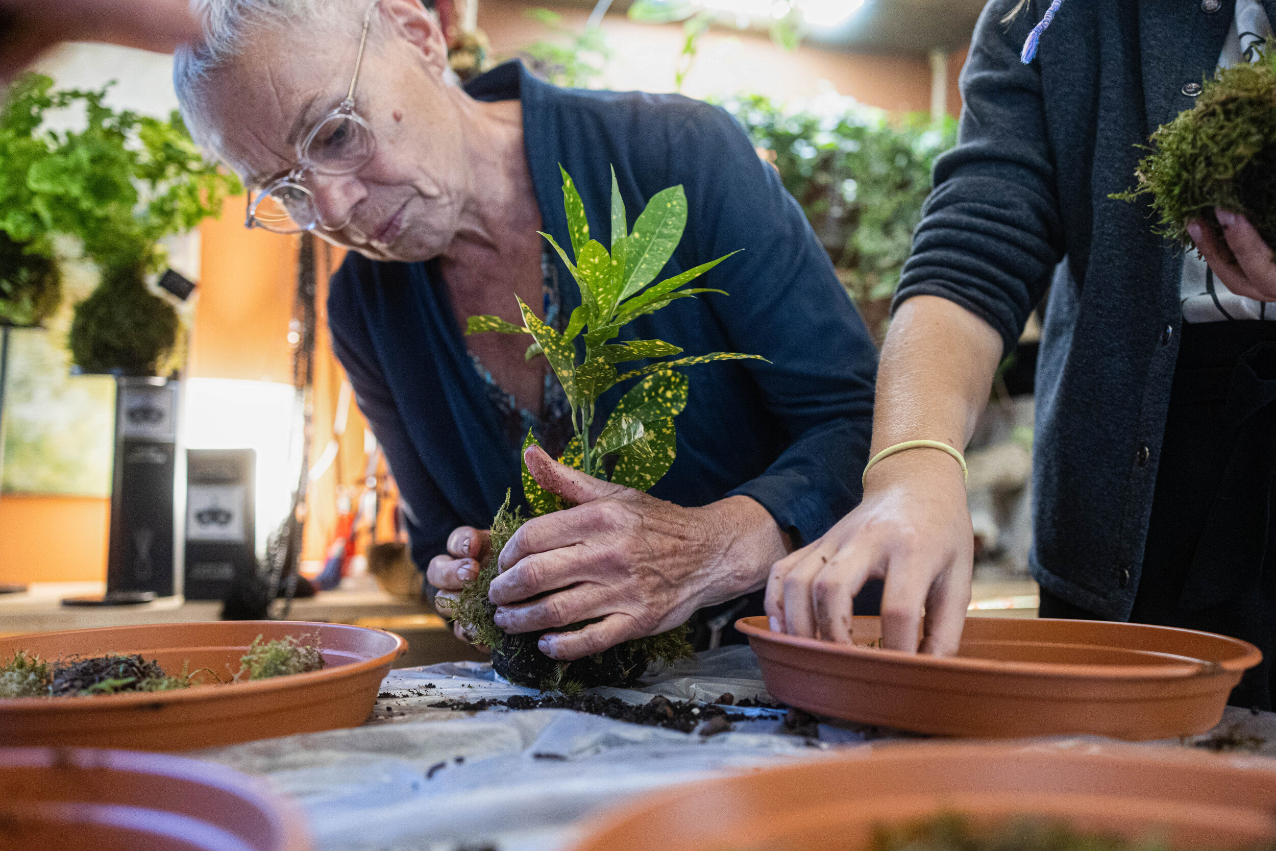 Wecandoo - Créez votre kokedama avec Corinne - Image n°6