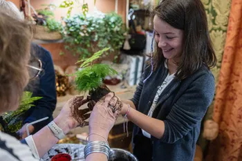 Réalisez votre kokedama en duo avec votre enfant