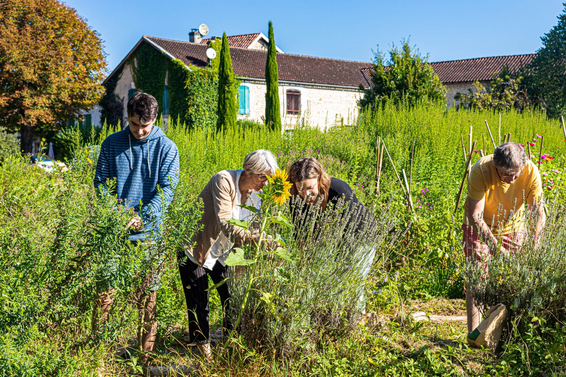 Initiez vous à la permaculture sur une journée avec Édith - Image n°4 - Wecandoo