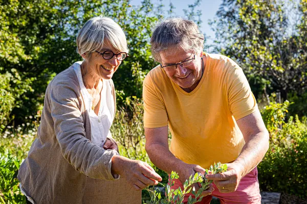 Découvrez la permaculture avec Édith - Image n°3 - Wecandoo