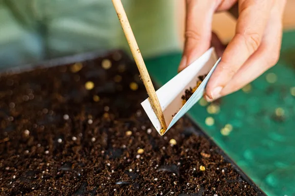 Découvrez la permaculture avec Édith - Image n°1 - Wecandoo