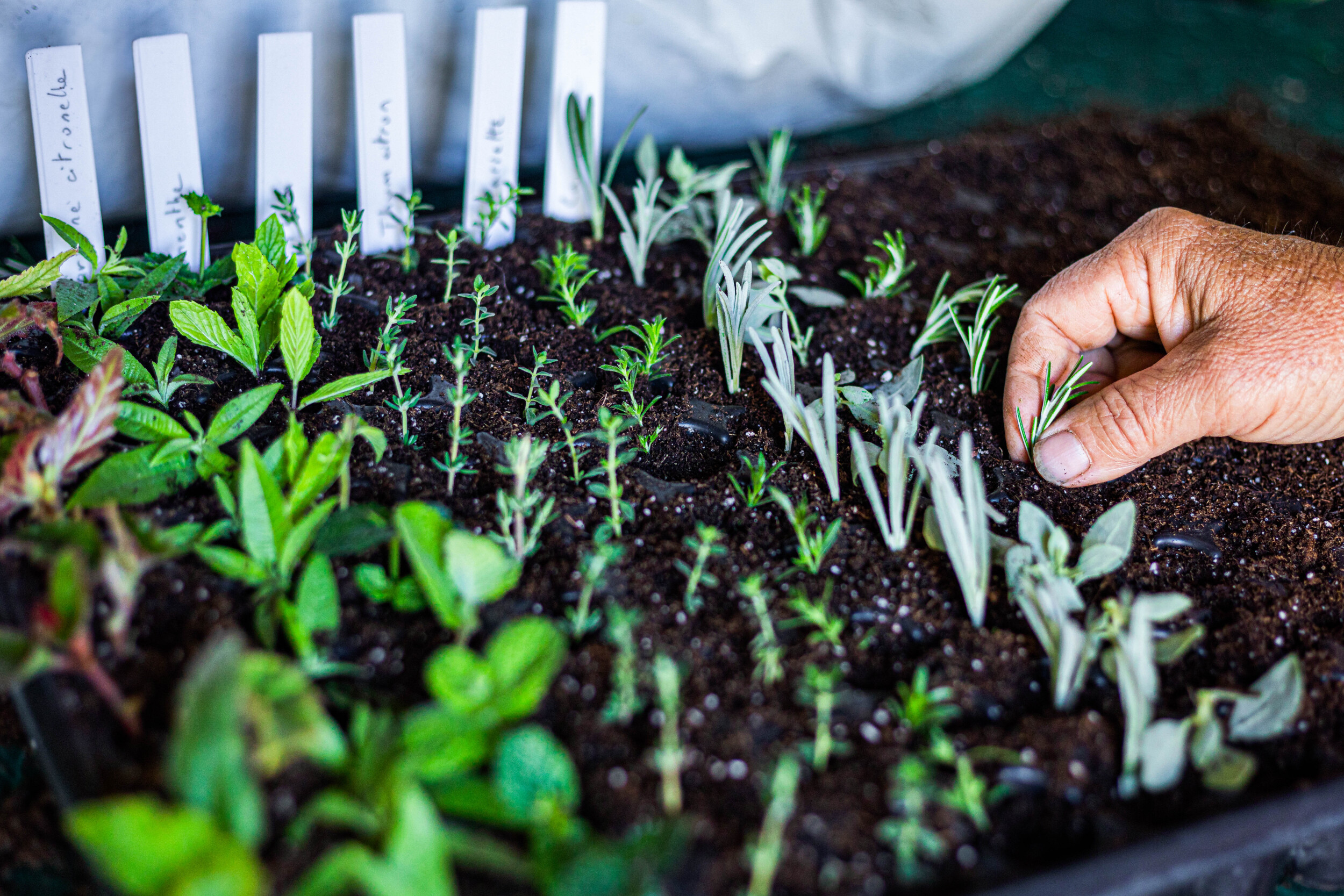 Découvrez la permaculture