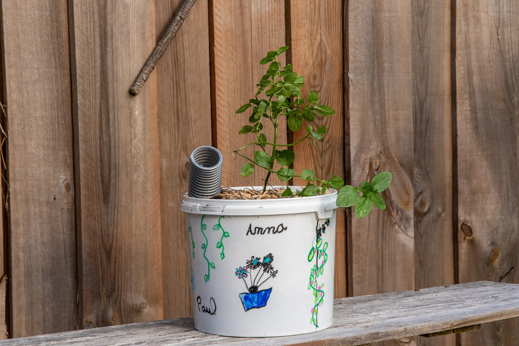 Découvrez le métier d'agriculteur urbain sur une journée avec Anthony - Image n°5 - Wecandoo