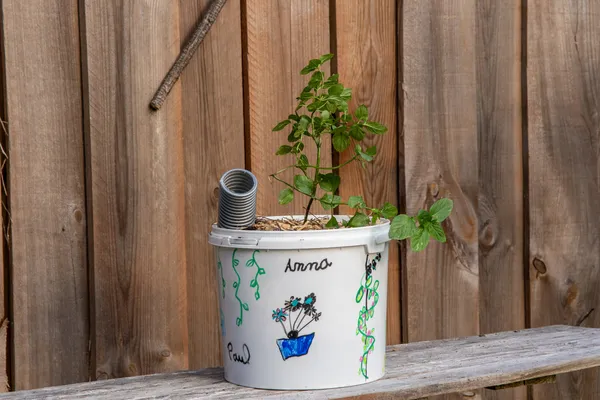 Découvrez le métier d'agriculteur urbain sur une journée avec Anthony - Afbeelding nr. 5 - Wecandoo