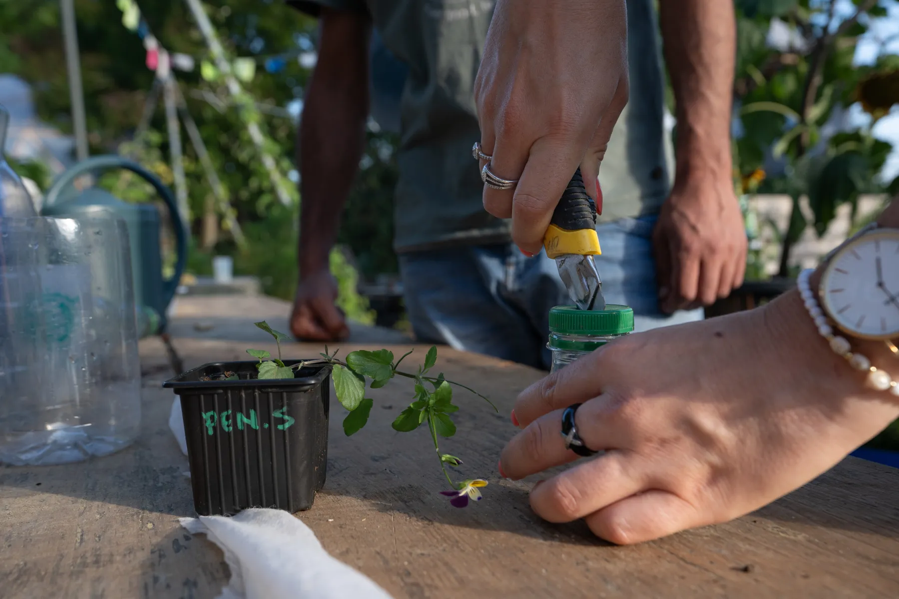 Initiez-vous à l'agriculture urbaine avec Anthony - Image n°2 - Wecandoo