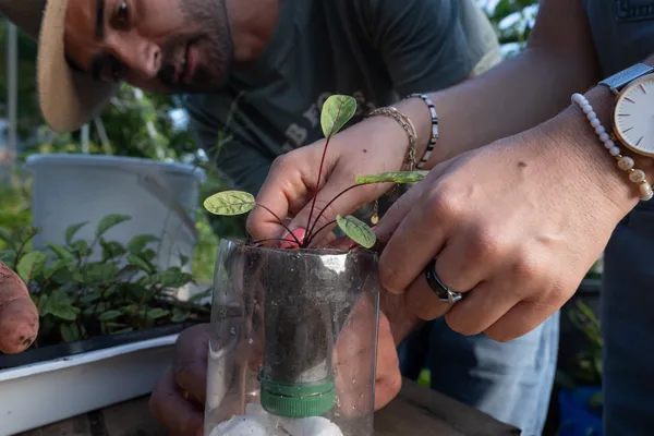 Initiez-vous à l'agriculture urbaine avec Anthony - Afbeelding nr. 3 - Wecandoo