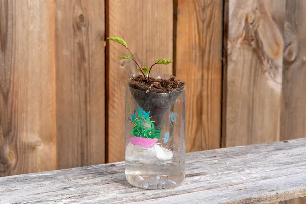 Initiez-vous à l'agriculture urbaine avec Anthony - Afbeelding nr. 5 - Wecandoo