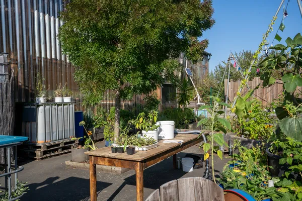 Découvrez le monde de l'agriculture urbaine en famille, avec Anthony - Image n°4 - Wecandoo