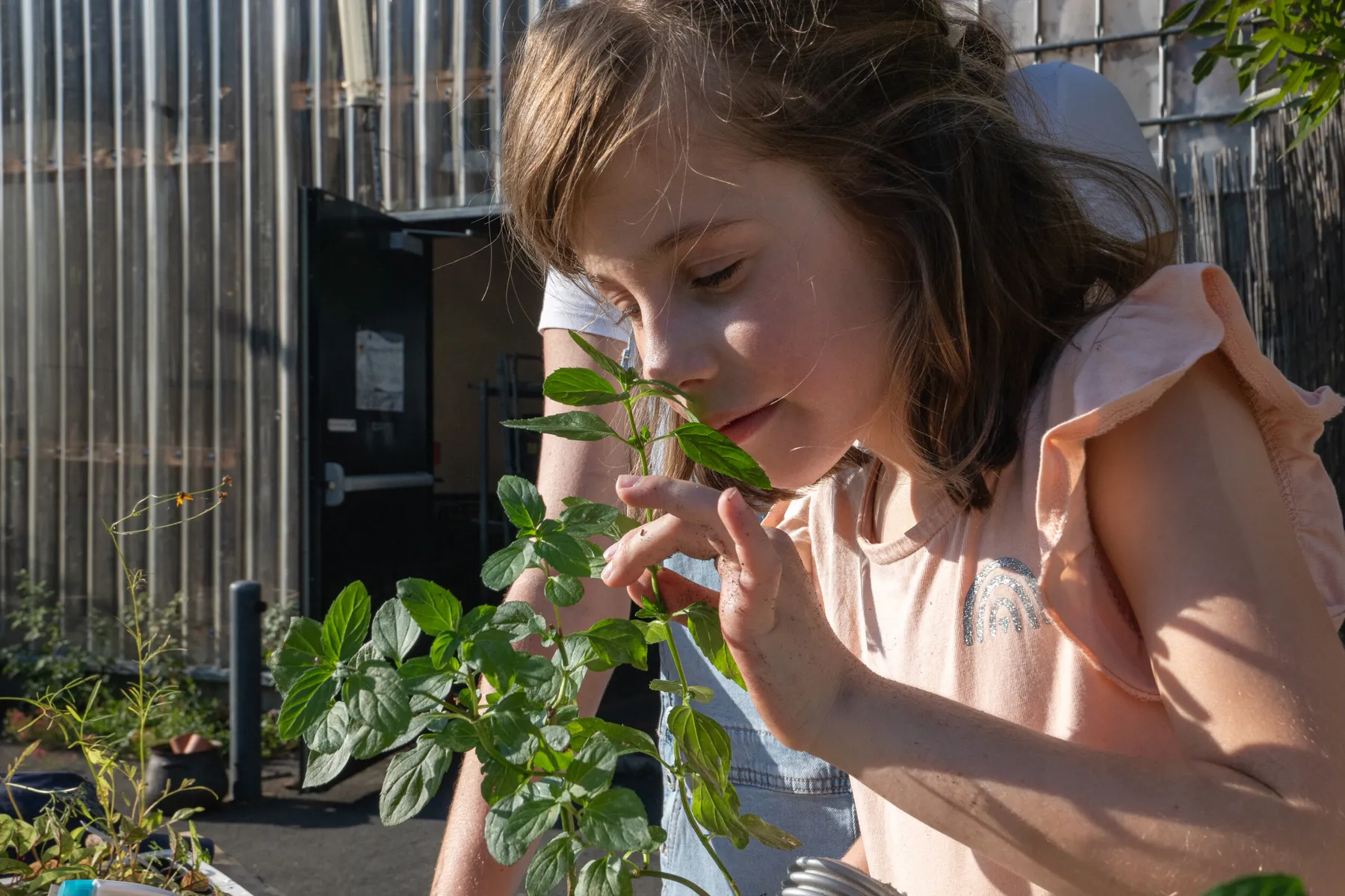 Découvrez le monde de l'agriculture urbaine en famille, avec Anthony - Image n°2 - Wecandoo