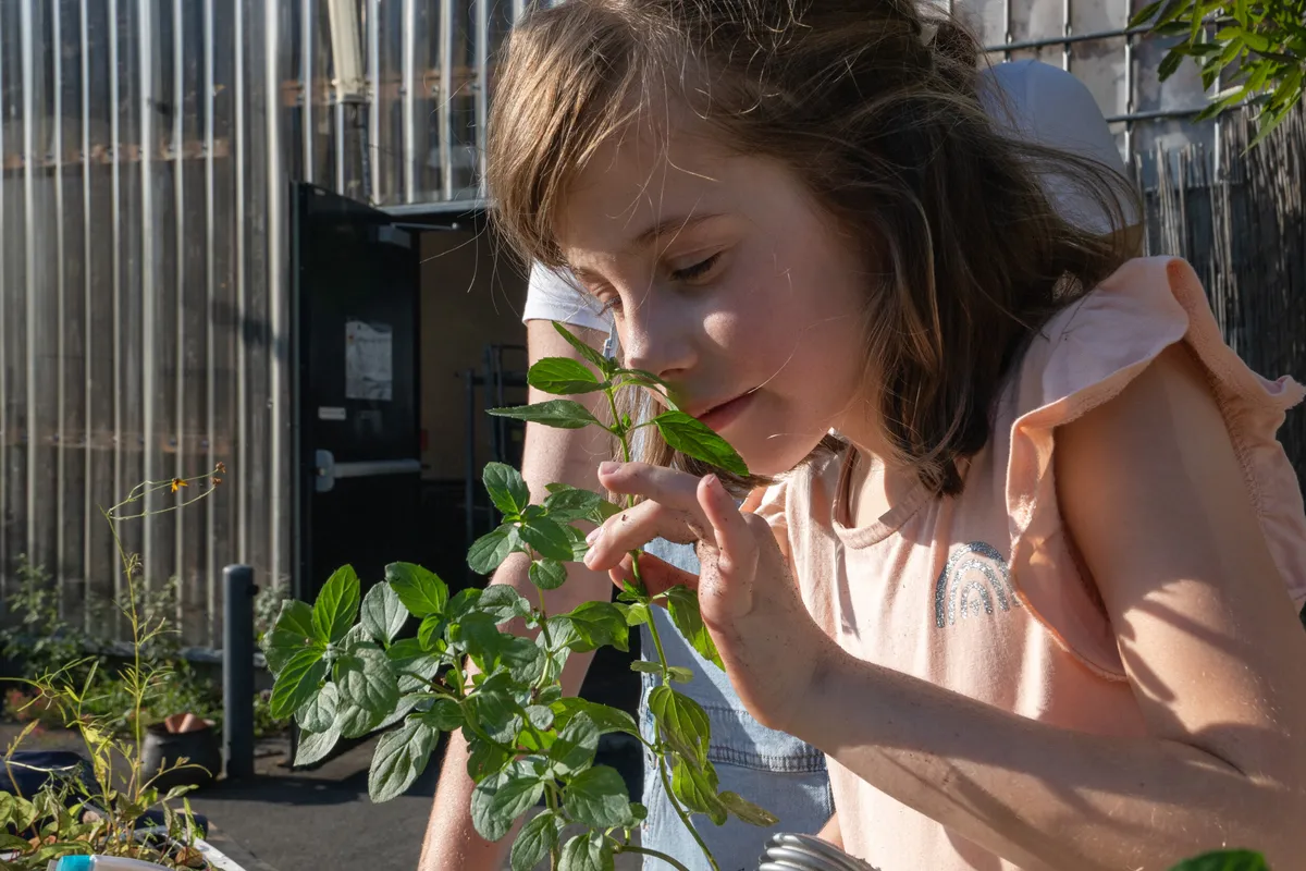 Découvrez l'agriculture urbaine en famille