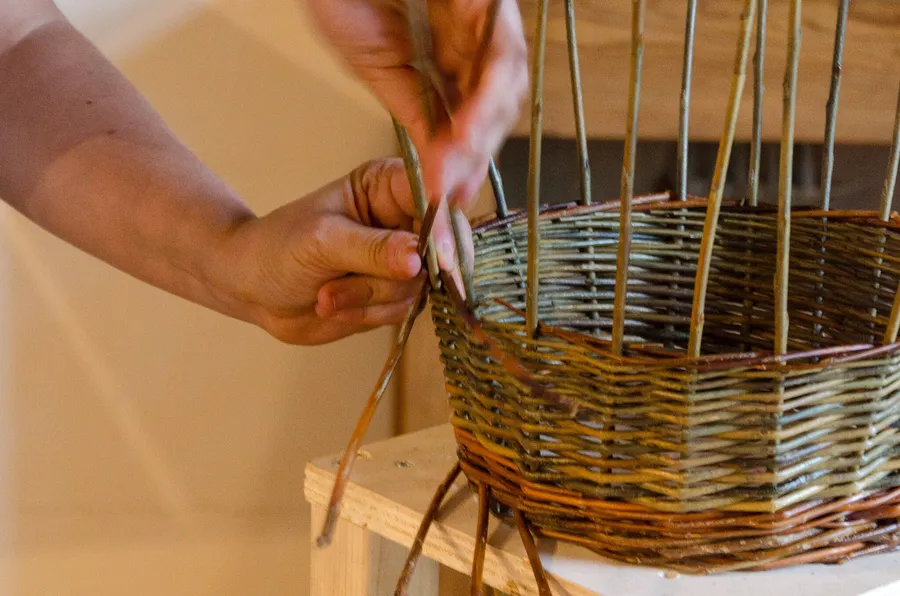 Découvrez l'art de la vannerie et réalisez votre abat-jour avec Aline - Afbeelding nr. 1 - Wecandoo