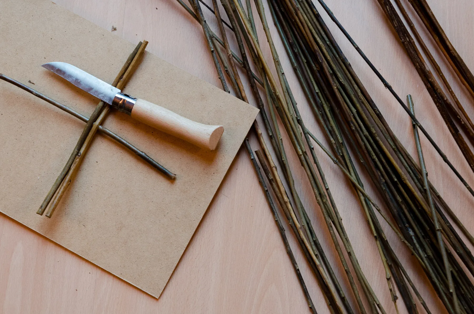 Découvrez l'art de la vannerie et réalisez votre cache-pot avec Aline - Image n°3 - Wecandoo