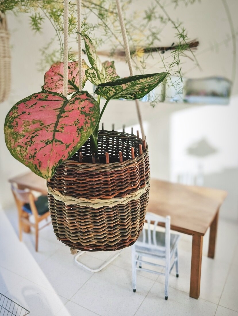 Réalisez votre cache-pot