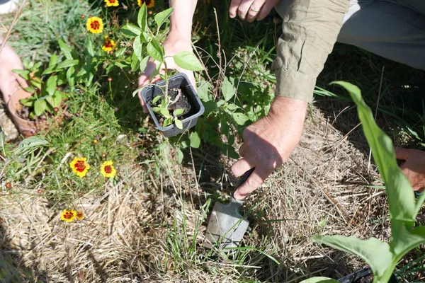 Découvrez la permaculture dans une ferme diversifiée avec Louise et Jérémy - Image n°4 - Wecandoo